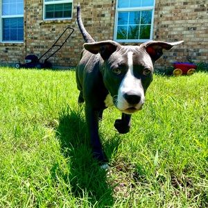 Meet your Posher, Reed